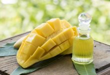 خواص روغن هسته انبه؛ Properties of mango seed oil